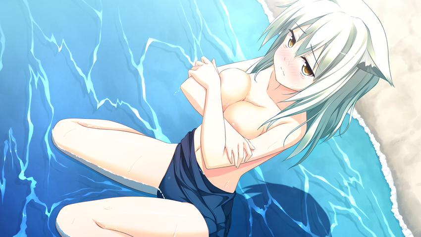 animal_ears areolae beach blush breasts cat_ears cat_girl cleavage closed_mouth covering covering_breasts crossed_arms day dutch_angle embarrassed endless_dungeon game_cg kinta_(distortion) large_breasts looking_at_viewer navel nico_temple ocean outdoors sand school_swimsuit sitting solo swimsuit swimsuit_pull tears wariza water wavy_mouth wet white_hair yellow_eyes