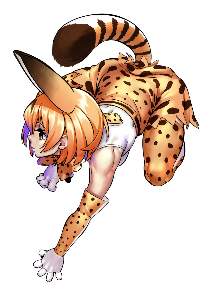 absurdres animal_ears bow bowtie elbow_gloves gloves high-waist_skirt highres kemono_friends muscle orange_hair serval_(kemono_friends) serval_ears serval_print serval_tail shirt simple_background skirt sleeveless sleeveless_shirt solo striped_tail tail turiganesou800 yellow_eyes