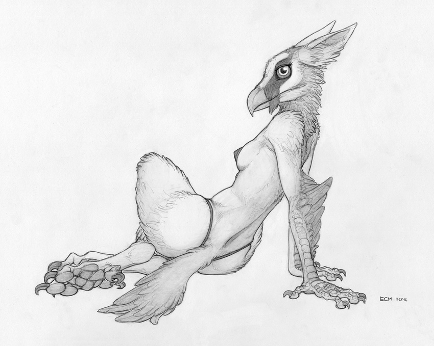 2016 5:4 anthro avian beak bearded_vulture bird breasts claws clothing ecmajor feathers female greyscale gryphon hybrid looking_at_viewer monochrome panties pawpads paws side_boob simple_background solo talons toe_claws traditional_media_(artwork) underwear vulture white_background