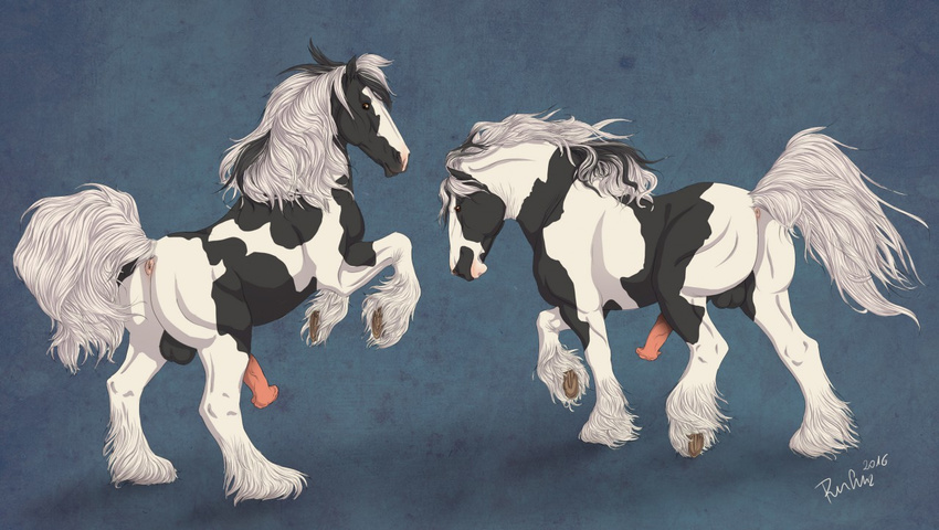 2016 anatomically_correct anatomically_correct_penis animal_genitalia animal_penis anus backsack balls black_balls black_fur black_mane blue_background digital_media_(artwork) draft_horse equine equine_penis erection feathering feral fur gypsy_vanner hooves horse male mammal mane multicolored_fur multicolored_mane on_hind_legs penis pink_penis quadruped rufciu signature simple_background snout solo two_tone_fur two_tone_mane underhoof white_fur white_mane white_tail