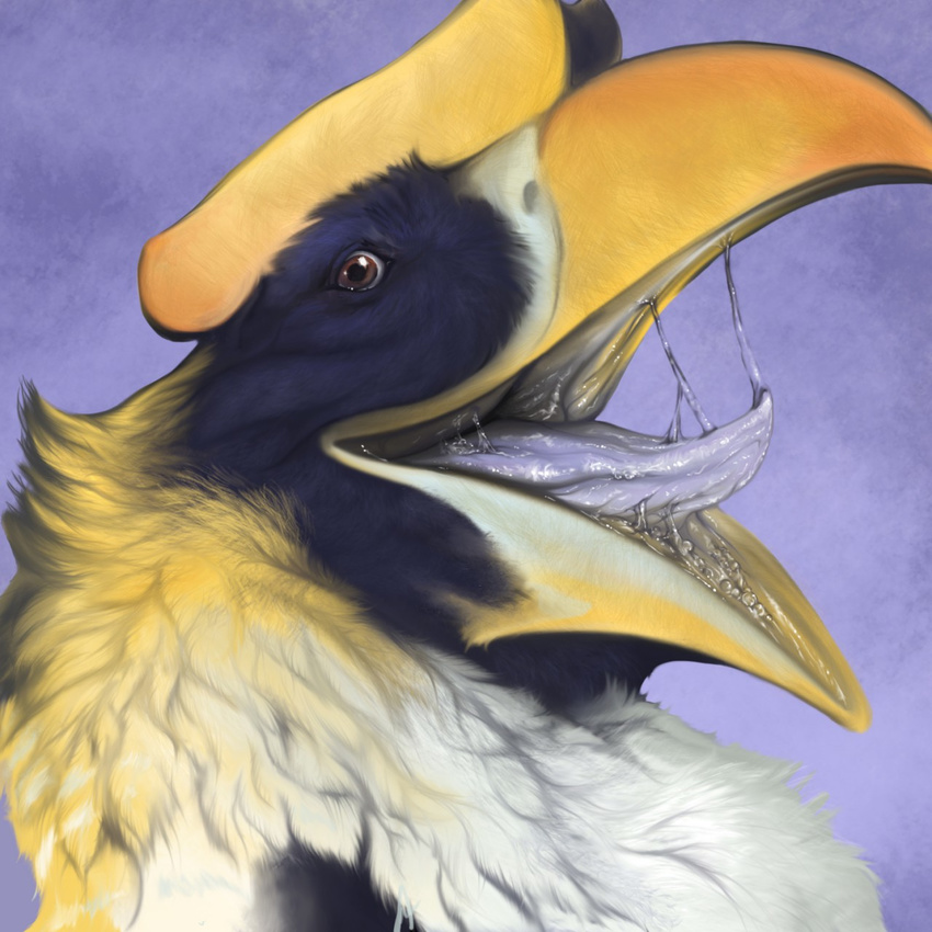 2017 ambiguous_form ambiguous_gender avian beak bird black_feathers brown_eyes crest digital_media_(artwork) digital_painting_(artwork) dogspots drooling feather_tuft feathers front_view gaping_mouth grey_beak harry_hornbill head_tuft headshot_portrait hi_res hornbill imminent_vore looking_at_viewer mouth_shot multicolored_beak multicolored_feathers open_mouth portrait purple_background purple_tongue saliva saliva_string simple_background smile solo tuft two_tone_beak vore white_feathers yellow_beak yellow_feathers