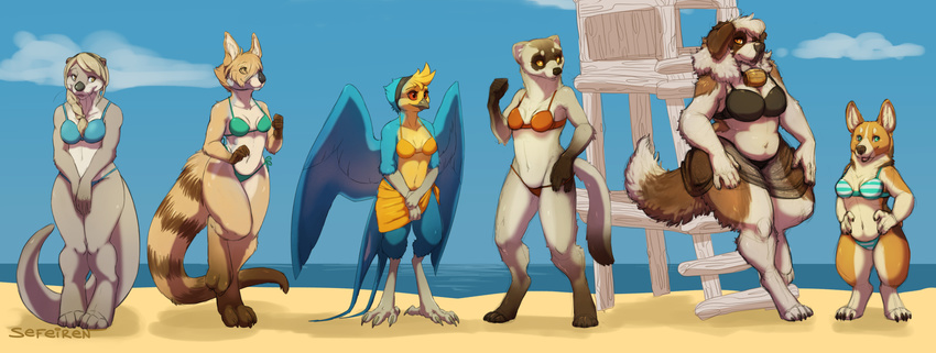 anthro avian barrel beach beak bikini bird black-footed_ferret blue_feathers brown_fur brynne canine clara claws clothing cloud conditional_dnp corgi digitigrade dog feathers female ferret fur gloria green_eyes gwen hairband hands_on_hips hindpaw ladder leaning looking_at_viewer mammal marsupial mustelid navel open_mouth orange_eyes otter outside paws ponytail saint_bernard sand sea seaside sefeiren short shy size_difference sky slightly_chubby standing swallowing swimsuit tall tongue wallaby water whiskers white_fur wide_hips wings yellow-footed_rock-wallaby yellow_eyes yellow_feathers