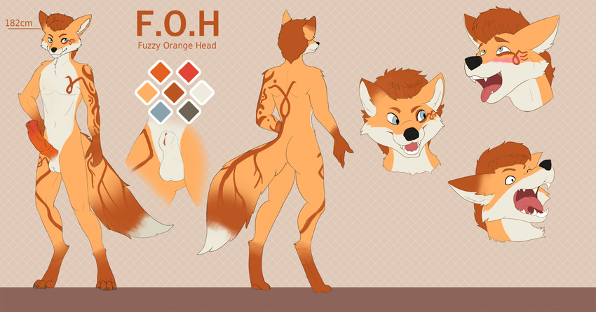 anthro blue_eyes canine digitigrade fox fur fuzzyorangehead male mammal model_sheet orange_fur white_fur yarik