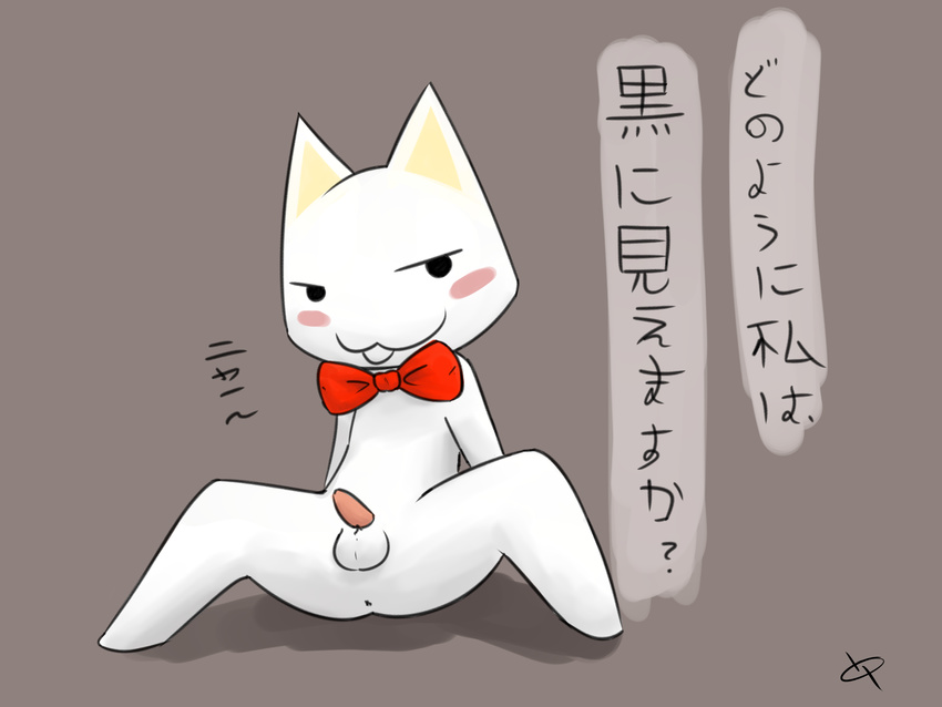 2015 anthro anus balls blush bow bow_tie cat digital_media_(artwork) doko_demo_issho doublepopsicle erection feline fur hi_res looking_at_viewer male mammal penis presenting simple_background solo sony text toro_inoue translated white_fur