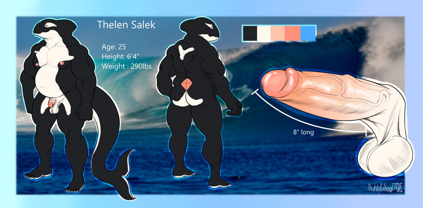 2017 5_toes anthro back_markings back_muscles balls barefoot biceps big_tail biped black_skin black_tail border cetacean color_swatch countershade_tail countershade_torso countershading detailed_background digital_media_(artwork) erection eye_markings feet fin flaccid glans head_fin humanoid_feet humanoid_penis long_tail male mammal marine markings model_sheet multicolored_skin multicolored_tail multiple_angles musclegut muscular muscular_male nipples nude orca pecs penis photo_background pink_nipples pink_penis plantigrade saggy_balls sea signature solo stickyfeathers tail_fin thelen_salek thick_tail toes two_tone_skin two_tone_tail vein veiny_penis water wave whale white_balls white_countershading white_markings white_skin white_tail