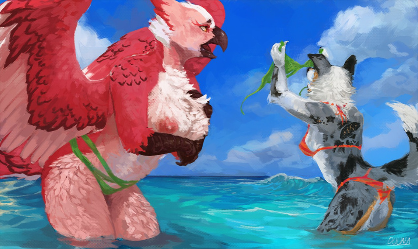 2017 accidental_exposure anthro avian beak bikini bikini_bottom biped bird black_beak black_fur black_tail blue_sky border_collie breasts canine clothed clothing cloud collie day detailed_background digital_media_(artwork) dog duo feathered_wings feathers female fur green_bottomwear green_clothing grey_fur grey_tail holding_breast holding_clothing holding_object mammal multicolored_feathers multicolored_fur multicolored_tail nipples non-mammal_breasts oouna open_mouth orange_eyes outside partially_submerged pink_feathers pink_nipples sea signature sky standing striped_bottomwear striped_clothing striped_topwear summer swimsuit topless two_tone_feathers wardrobe_malfunction water white_feathers white_fur white_tail wings