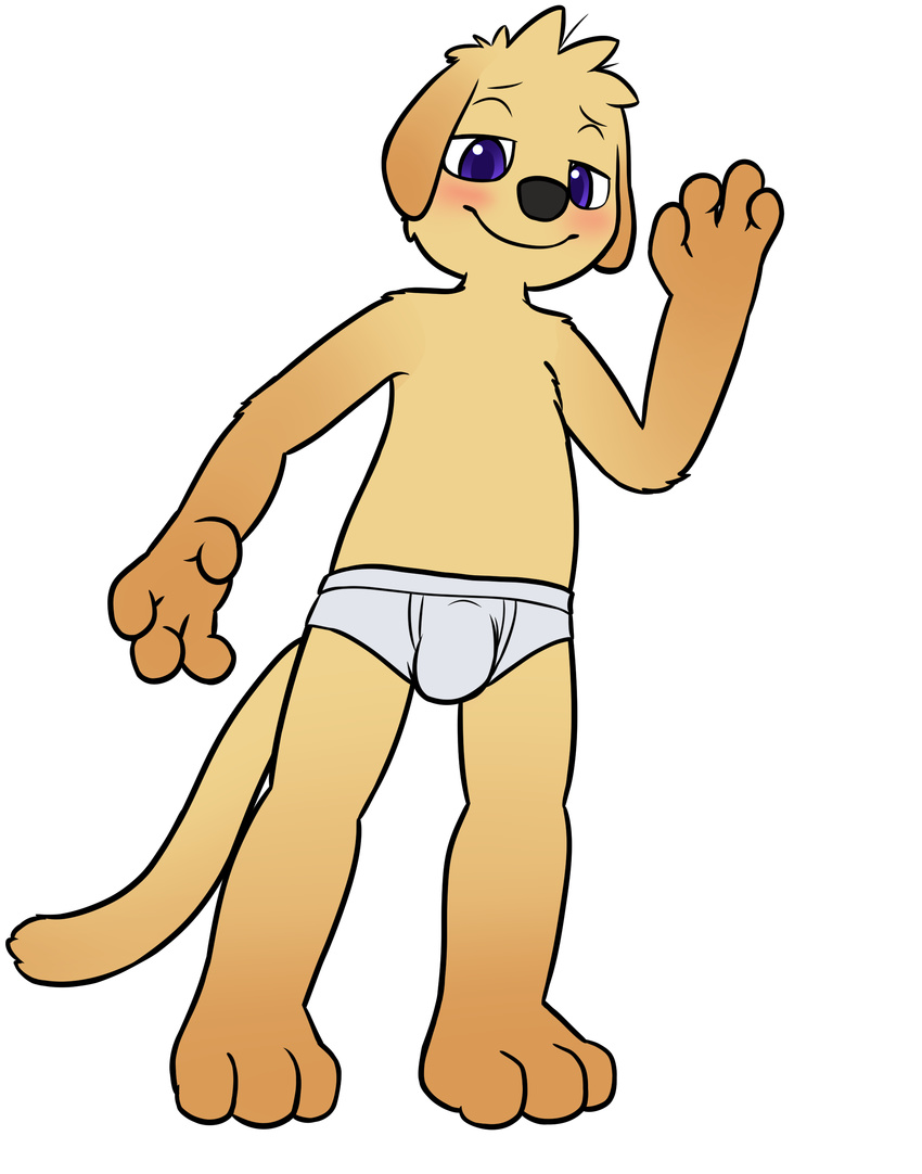 4_fingers alpha_channel anthro bitcoon black_nose blue_eyes blush briefs brown_fur bulge canine clothed clothing cub dog fur male mammal simple_background solo standing topless transparent_background underwear young
