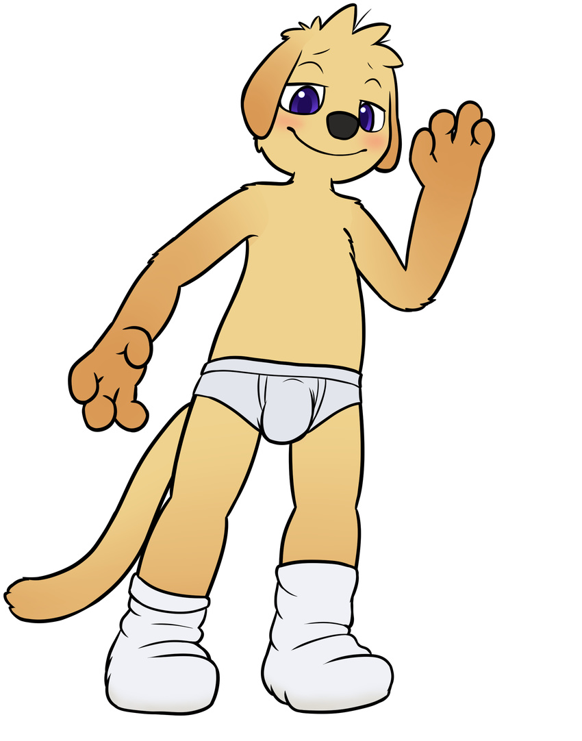 4_fingers alpha_channel anthro bitcoon black_nose blue_eyes blush briefs brown_fur bulge canine clothed clothing cub dog fur legwear male mammal simple_background socks solo standing topless transparent_background underwear young
