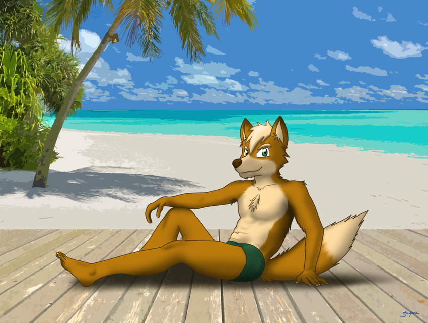 2014 armpit_hair beach boardwalk brown_fur canine chest_fuzz chest_tuft clothing cloud fox fox_mccloud fur green_eyes gupa507 hair looking_at_viewer mammal multicolored_fur multicolored_tail nintendo palm_tree plant pose relaxing sand sea seaside sky smile speedo star_fox swimsuit tree tropical tuft two_tone_fur video_games water white_hair yellow_fur