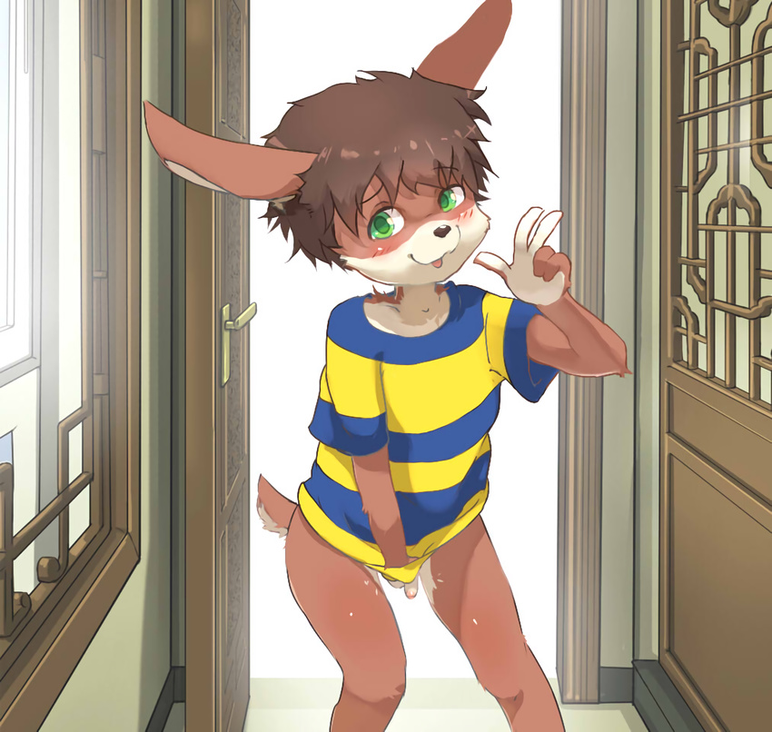 5_fingers balls blush bottomless brown_fur brown_hair clothed clothing covering covering_self cub flaccid fur green_eyes hair lagomorph male mammal nekowuwu penis rabbit shirt solo standing t-shirt uncut white_fur young