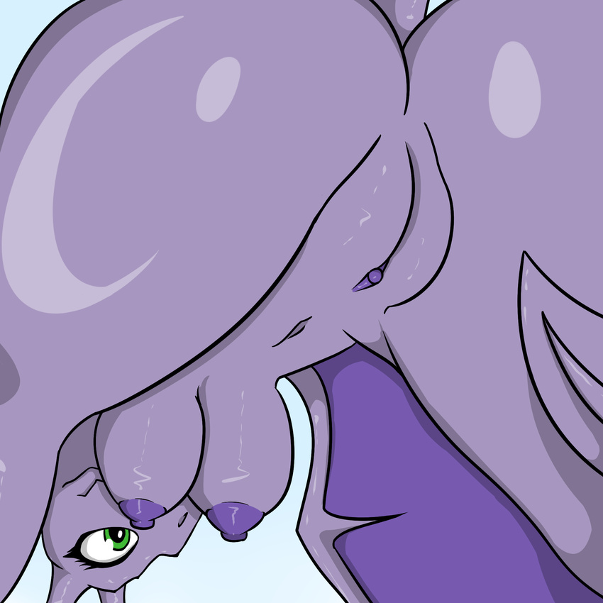 2015 aerodactyl anthro avian breasts clitoris female green_eyes hanging_breasts hi_res low-angle_view membranous_wings navel nintendo nipples nude pok&eacute;mon pussy quin-nsfw simple_background solo video_games white_background wings worm's-eye_view