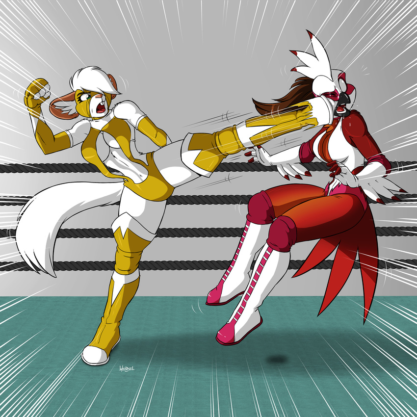 anthro armwear athletic avian beak bird boots breasts buckteeth chinchilla clothing costume drawing-4ever duo feathers female fight footwear fur green_eyes hair kick mammal mask motion_lines navel one_eye_closed open_mouth phoenix rodent sport suit teeth tongue wendel2 wrestling