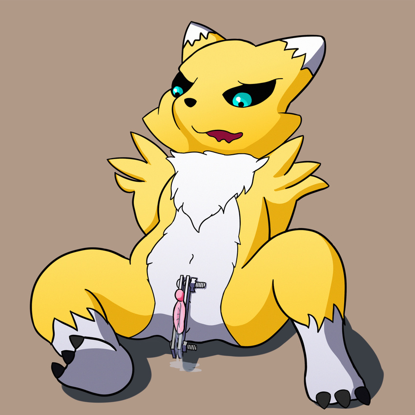 anthro circumcision clitordectomy clitoris digimon female fur genital_mutilation nude pussy pussy_circumcision pussy_mutilation renamon solo vladimir