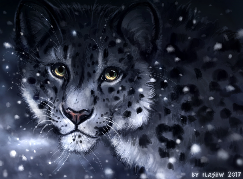 2017 ambiguous_gender feline feral flashw fur grey_fur greyscale leopard mammal monochrome snow snow_leopard snowing solo spots spotted_fur whiskers white_fur