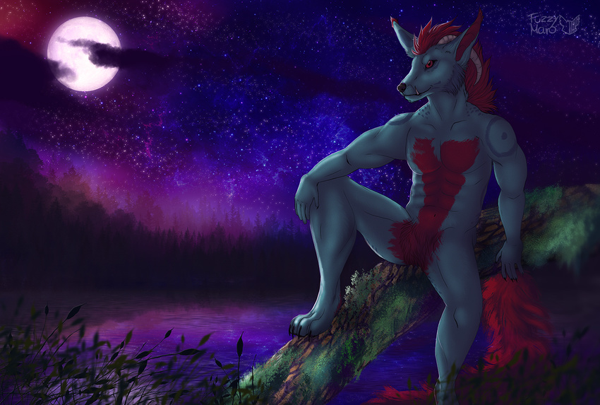 anthro canine digital_media_(artwork) fuzzymaro lake mammal muscular night outside