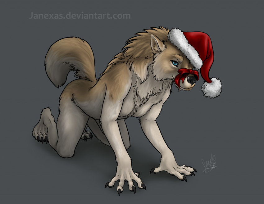 all_fours anthro blue_eyes bound breasts canine christmas claws female hat holidays looking_at_viewer lylas mammal nude pawpads ribbons santa_hat solo were werewolf wolf