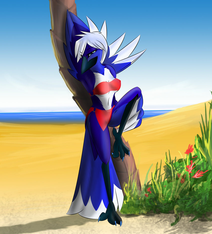 2012 anthro avian beach beak bedroom_eyes bird clothed clothing corrvo eyebrows eyelashes feathered_wings feathers female half-closed_eyes hi_res maggie_kry one_leg_up pose seaside seductive solo talons wings