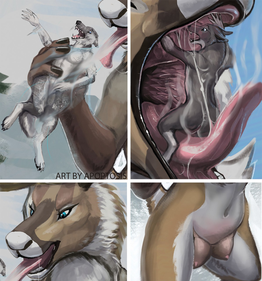 apoptosis body_in_mouth breasts canine cervine close-up female frozen macro male mammal micro micro_on_macro nipples oral_vore reindeer saliva sasha size_difference teats vore wolf