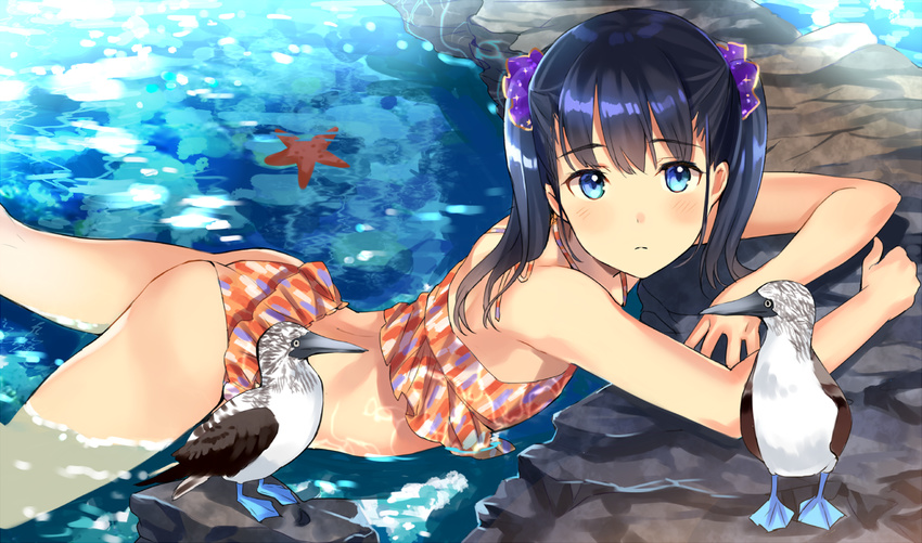 ass bangs bikini bird black_hair blue-footed_booby blue_eyes blush commentary_request frilled_bikini frills from_side hair_ornament hair_scrunchie long_hair looking_at_viewer lying ocean on_stomach orange_bikini original outdoors parted_lips scrunchie solo starfish swimsuit tan_(tangent) twintails