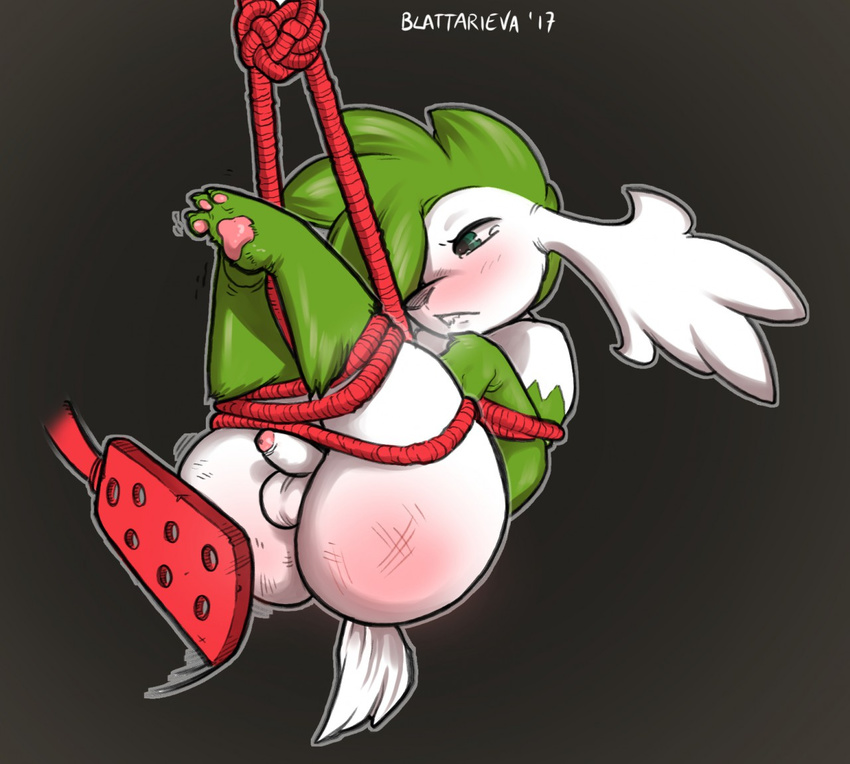 2017 arms_tied balls bdsm better_version_at_source blattarieva bondage bondage_gear bound crying erection feral fur hair legendary_pok&eacute;mon legs_tied male mammal nintendo paddle penis pok&eacute;mon rope rope_bondage rope_harness shaymin shaymin_(sky_form) simple_background small_balls small_penis solo spank_marks spanking suspension tears video_games white_balls white_fur