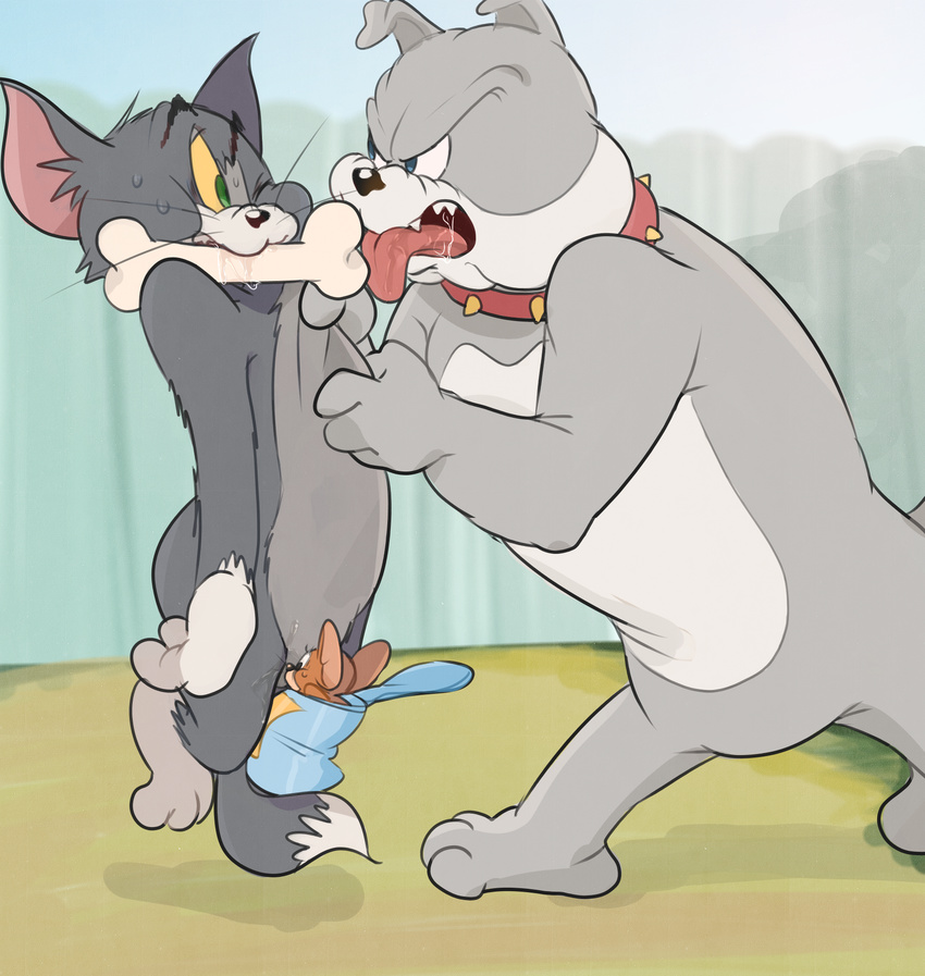 2017 ambiguous_gender anthro atori bone canine cat collar dog drooling feline hi_res jerry_(tom_&amp;_jerry) male mammal mouse rodent saliva size_difference spike_(tom_&amp;_jerry) sweat tom_(tom_&amp;_jerry) tom_and_jerry tongue tongue_out
