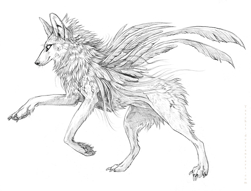 ambiguous_gender canine feathers feral fur hybrid mammal pawpads paws sketch solo tatchit white_feathers white_fur wolf