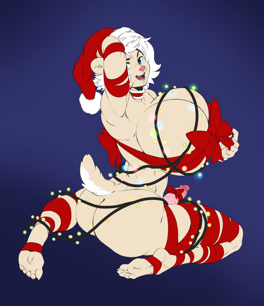 anthro big_breasts big_butt boosterpang breasts butt christmas clothed clothing dickgirl erection hat holidays huge_breasts humanoid_penis hyper hyper_breasts intersex kneeling looking_at_viewer looking_back mammal mustelid penis penis_bow penis_ribbon ribbons santa_hat skimpy smile solo