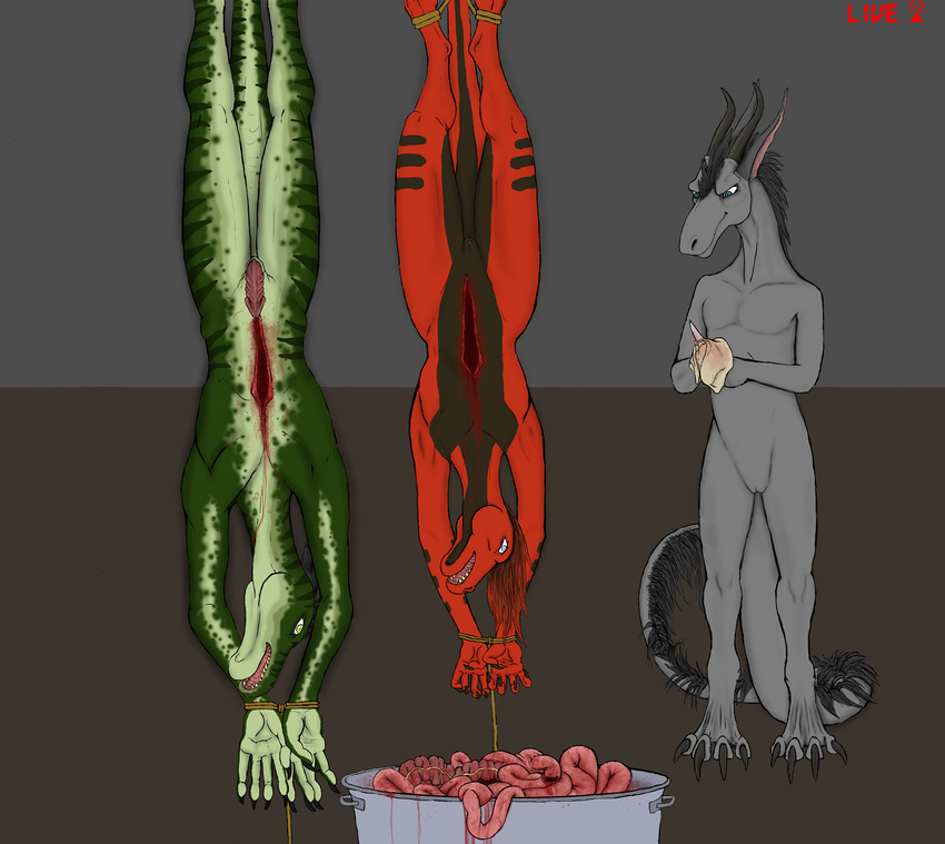 &gt;:) animal_genitalia blood blue_eyes bucket cleaning digital_media_(artwork) disembowelment dragon female fur furred_dragon gore green_eyes green_skin grey_fur guts hair hanged hi_res horn intestines knife lizard male melee_weapon multicolored_skin navel nude open_mouth penis plaguelizard pussy recording red_hair reptile restrained rope scalie scared sheath simple_background smile snuff towel two_tone_skin weapon