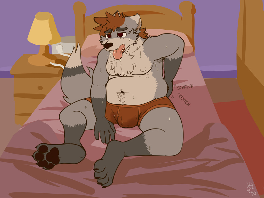 4_toes 5_fingers anthro bed bedding blanket boxers_(clothing) brown_eyes brown_hair bulge canine clothing fur grey_fur hair male mammal moobs navel nipples open_mouth overweight pawpads rory_(spyzslair) sitting solo spyzslair sweat toes tongue tongue_out underwear wolf