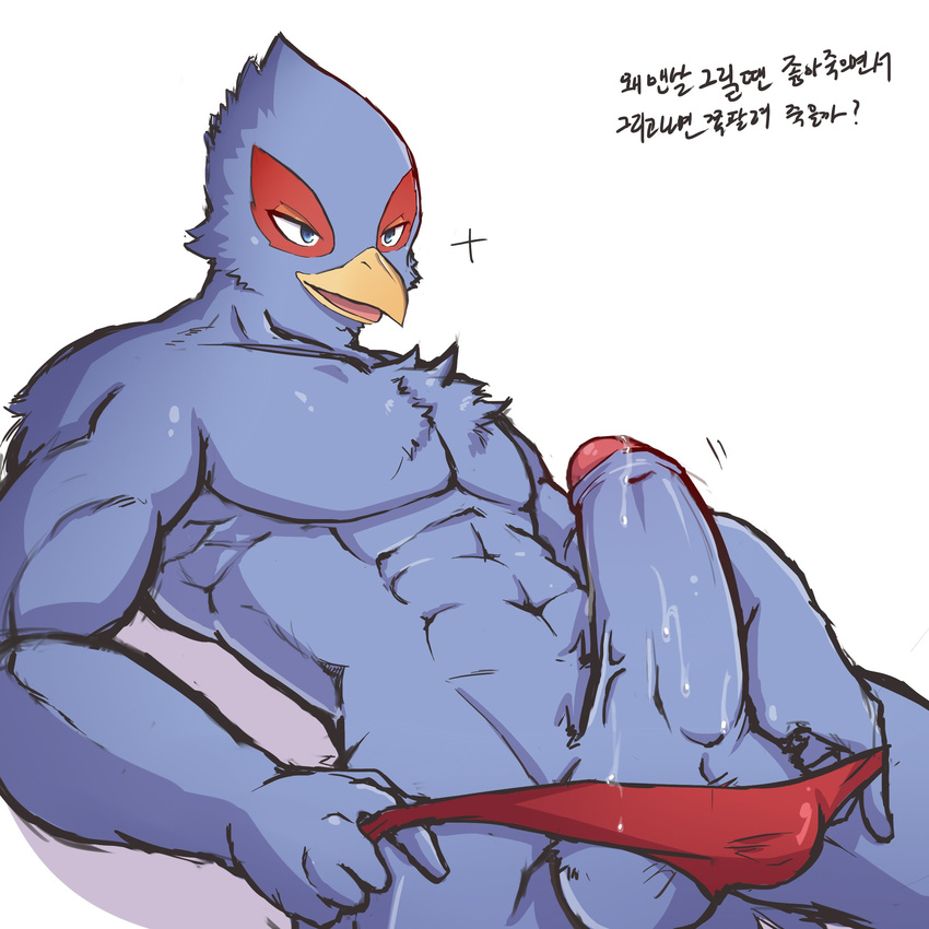 2017 anthro avian big_penis bird clothing erection falco_lombardi korean_text male muscular nintendo ohjing1004 penis precum solo speedo star_fox swimsuit text video_games