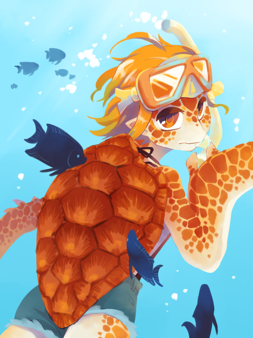 1girl female fish from_behind goggles goggles_on_head looking_back monster_girl orange_hair original pointy_ears short_shorts shorts snorkel solo swimming turtle yamanobe