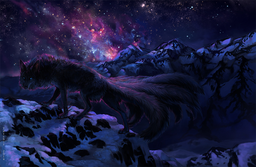 2014 ambiguous_gender black_nose blue_eyes canine detailed_background feral mammal multi_tail night outside paws sky snow solo standing star starry_sky tatchit wolf