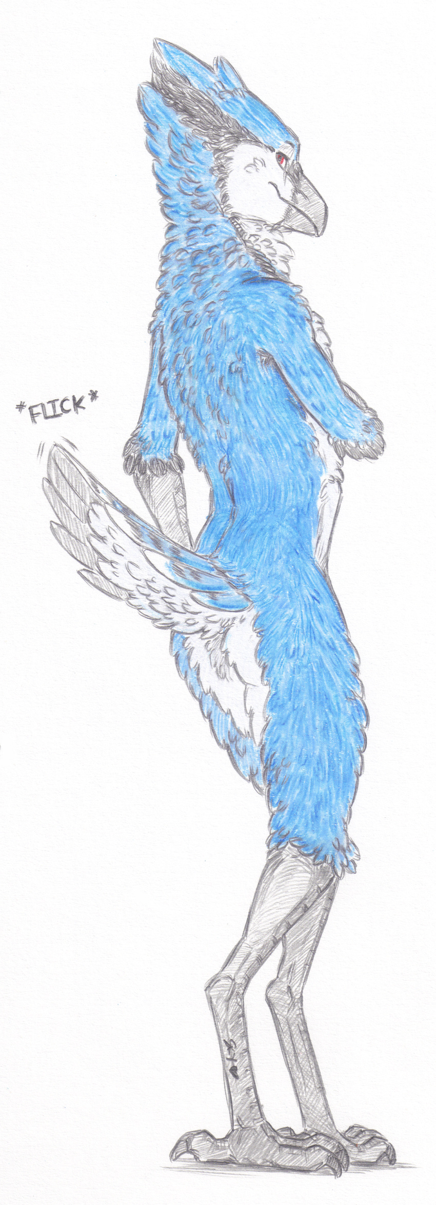 anthro avian bird blue_jay corvid feathers girly male red_eyes rexhyuga skyfifer solo