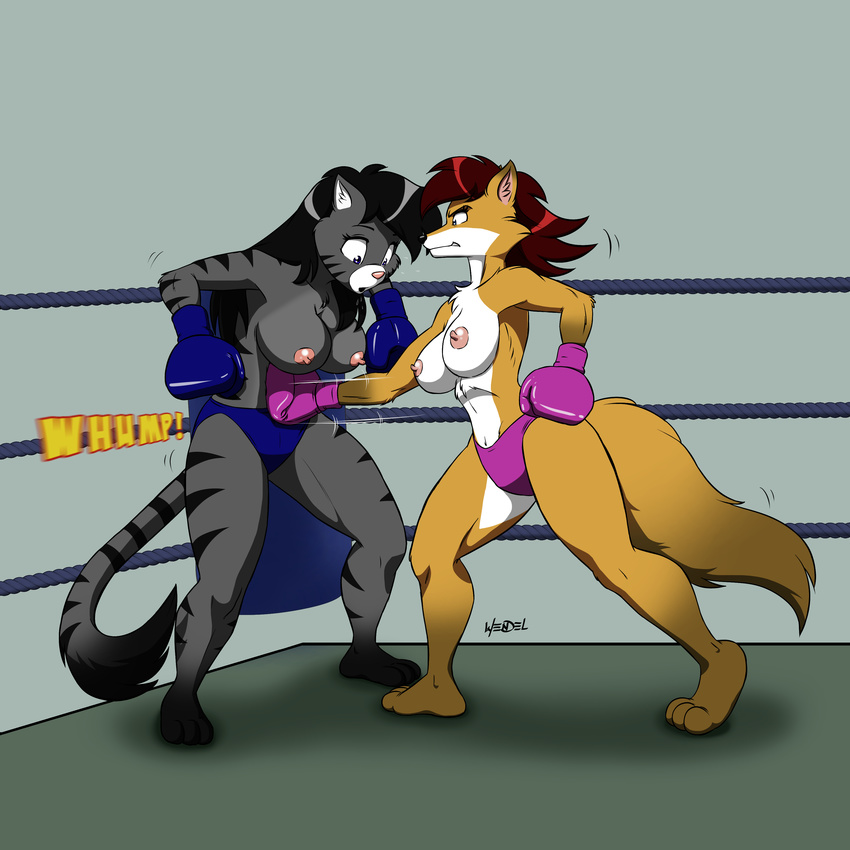 anthro areola athletic black_hair black_nose blue_eyes boxing boxing_gloves breasts canine cat chest_tuft clothed clothing drawing-4ever duo feline female female/female fight fighting_ring fox fur hair inner_ear_fluff interspecies mammal mostly_nude motion_lines navel nipples ouch pink_nose punch red_hair side_boob sound_effects sport stripes surprise topless tuft underwear wendel2