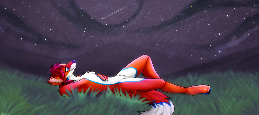 canine elvche fluffy fox fur lying male mammal on_back paws smile solo space star static_fox