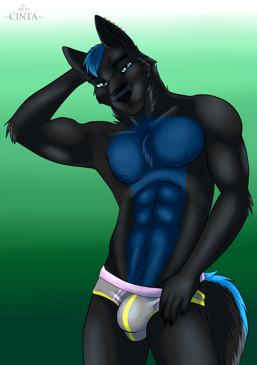 2017 5_fingers abs absurd_res anthro athletic black_fur black_nose blue_eyes blue_fur blue_hair bulge canine cinta clothing eyebrows front_view fur green_background hair hand_behind_head hi_res looking_at_viewer male mammal multicolored_fur muscular pose simple_background solo standing two_tone_fur underwear wolf