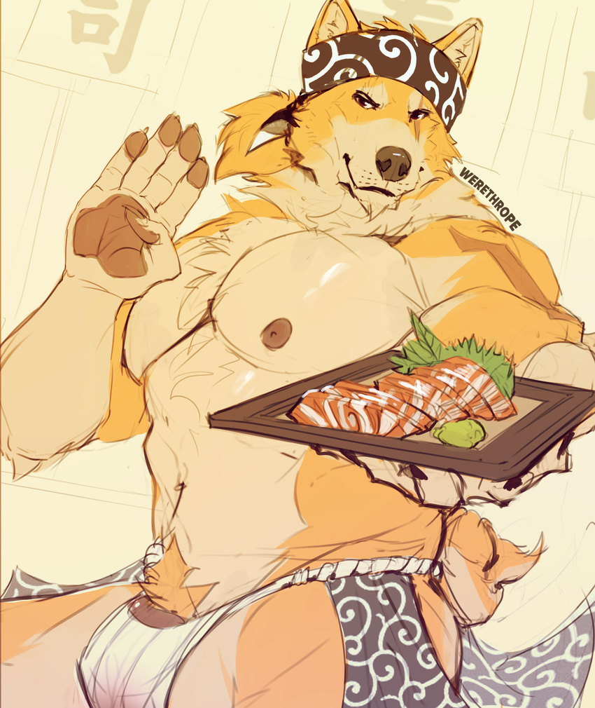2017 anthro bare_chest biceps blonde_hair brown_eyes bulge canine chest_tuft clothed clothing dog food fur hair headband looking_at_viewer male mammal muscular nipples pawpads plate scar shiba_inu simple_background smile sushi topless tuft underwear waiter wasabi werethrope yellow_fur