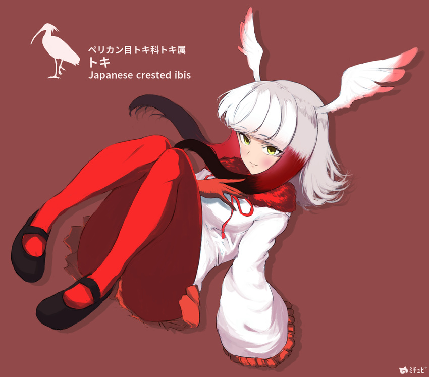 artist_name bangs black_footwear blunt_bangs character_name crested_ibis full_body gloves head_wings invisible_chair japanese_crested_ibis_(kemono_friends) japari_symbol kemono_friends long_hair long_sleeves looking_at_viewer mary_janes mityubi multicolored_hair pantyhose pleated_skirt red_background red_hair red_legwear shirt shoes silhouette simple_background sitting skirt solo tail two-tone_hair white_hair white_shirt wide_sleeves yellow_eyes