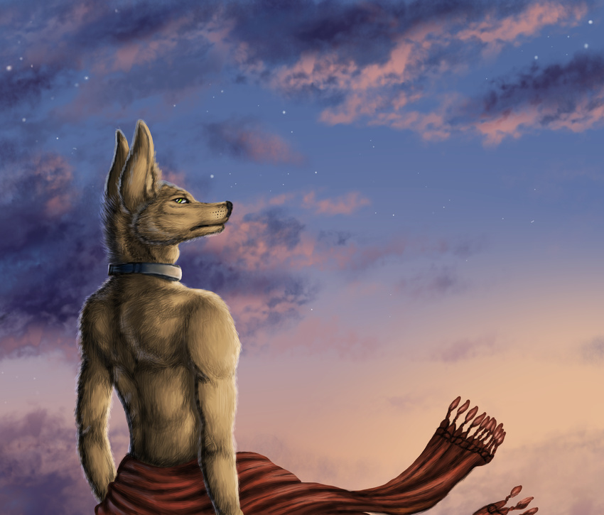 2017 amon anthro beach canine clothed clothing cloud collar fur golden_jackal jackal looking_at_viewer male mammal metal_collar outside red_lantern seaside sellon sky solo standing star sunrise topless