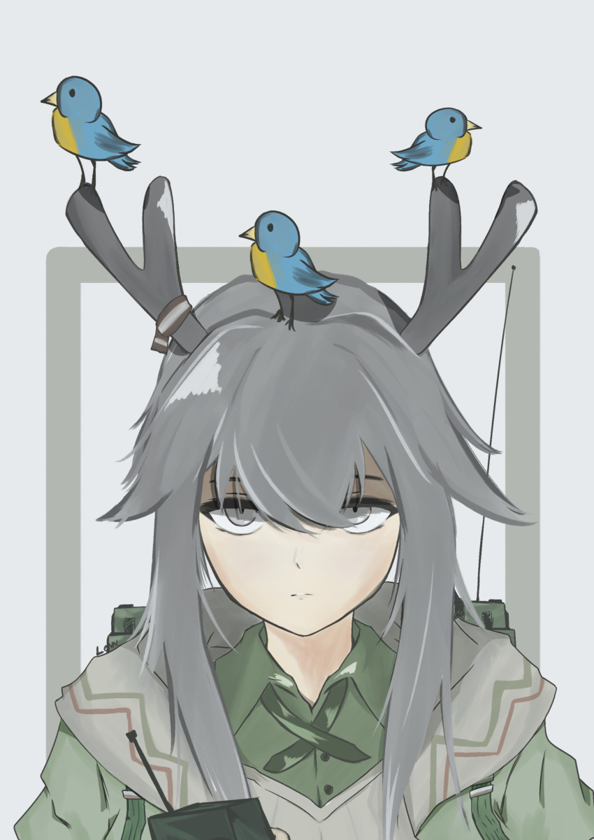 1girl absurdres antlers arknights bird bird_on_antlers blue_bird cross_tie deer_antlers firewatch_(arknights) green_shirt grey_background grey_eyes grey_hair hair_between_eyes highres lenn_(elnn4970) long_hair looking_at_viewer portrait radio reindeer_antlers shirt simple_background solo straight-on