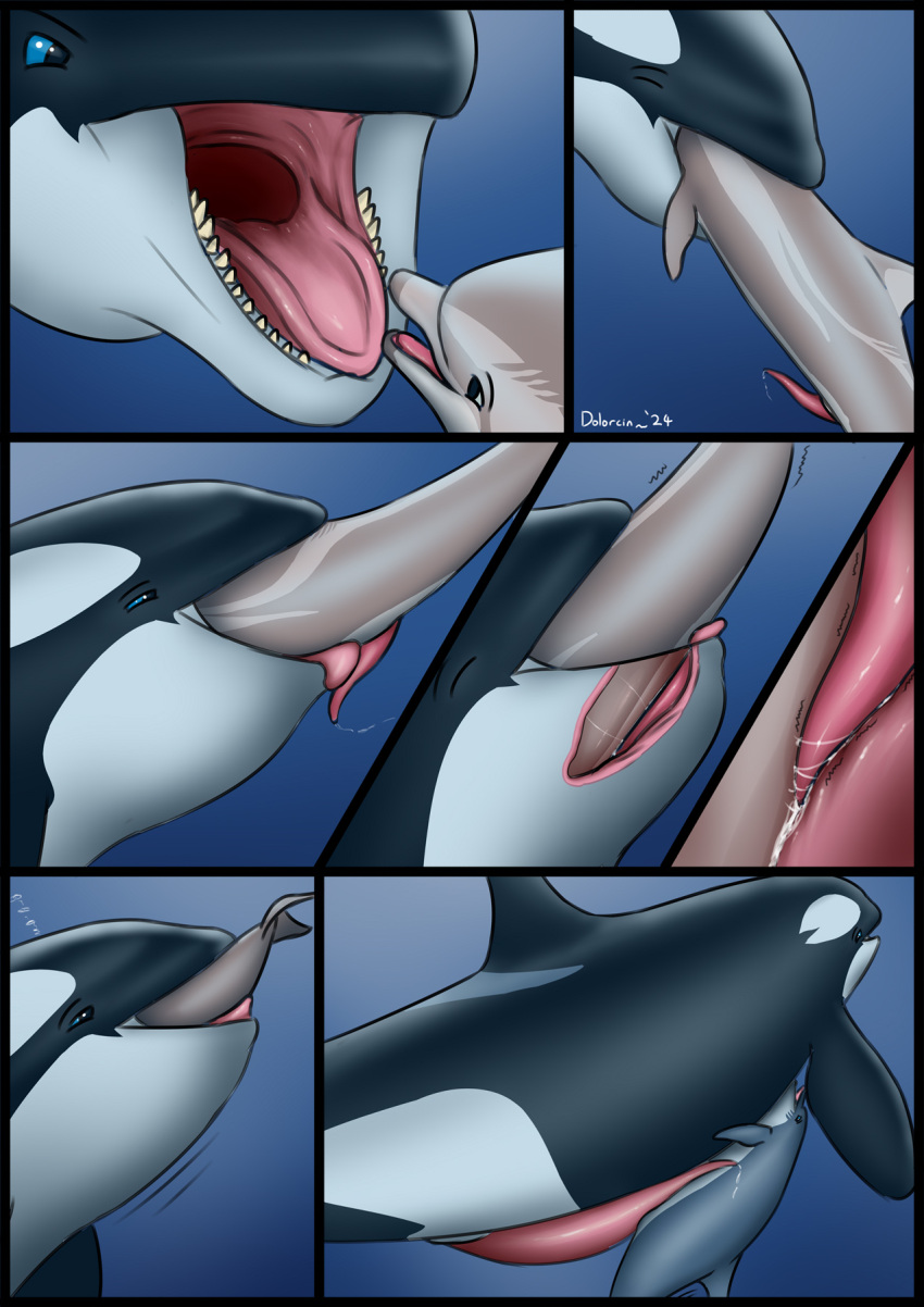 2024 almost_fully_inside ambiguous_gender anatomically_correct anatomically_correct_genitalia anatomically_correct_penis animal_genitalia animal_penis big_penis blue_eyes bodily_fluids body_in_mouth bubble cetacean cetacean_genitalia cetacean_penis comic cum cum_in_mouth cum_inside dolorcin dolphin dosfin erection feral feral_on_feral feral_pred feral_prey fully_inside gaping_mouth genital_fluids genitals grinding group head_in_mouth hi_res internal larger_male larger_pred licking male male/ambiguous male/male male_pred male_prey mammal marine mouth_shot oceanic_dolphin open_mouth oral oral_penetration oral_vore orca partially_inside penetration penile penile_penetration penis penis_in_mouth penis_lick sex signature size_difference smaller_ambiguous smaller_male smaller_prey soft_vore tapering_penis tongue tongue_out toothed_whale trio underwater vore water year