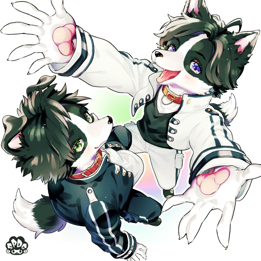 2boys ahoge animal_collar animal_ears animal_hands arms_up artist_logo bishounen black_footwear black_fur black_hair black_jacket black_pants black_shirt body_fur claws closed_mouth collar cropped_jacket dog_boy dog_ears dog_tail full_body furry furry_male green_eyes high_collar highres jacket light_blush long_sleeves looking_at_viewer mokotalow11 multicolored_background multiple_boys open_clothes open_jacket open_mouth original pants perspective purple_eyes reaching reaching_towards_viewer red_collar shirt short_hair siblings simple_background standing tail tongue tongue_out twins white_background white_fur white_jacket white_pants white_shirt