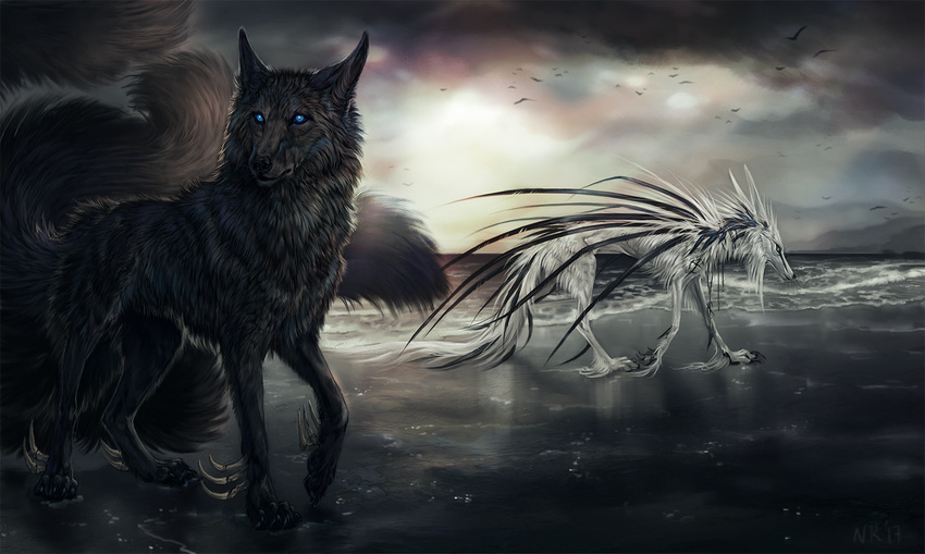 black_feathers black_fur black_nose blue_eyes canine duo feathers feral fur hybrid mammal multi_tail standing tatchit white_fur wolf