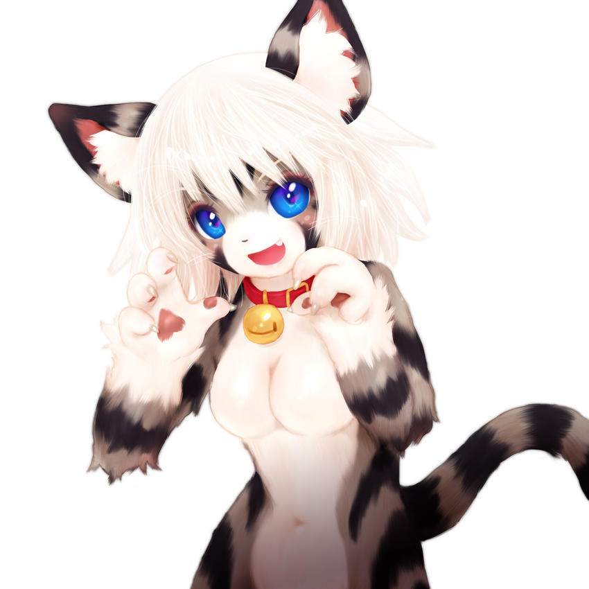 artist_request blue_eyes cat furry tashiro_yuu white_hair