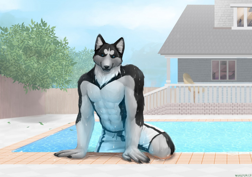 5_fingers anthro black_fur black_nose blue_eyes canine clothed clothing day detailed_background dog fur husky male mammal outside sky solo topless water wet xiongfeng95 xngfng95
