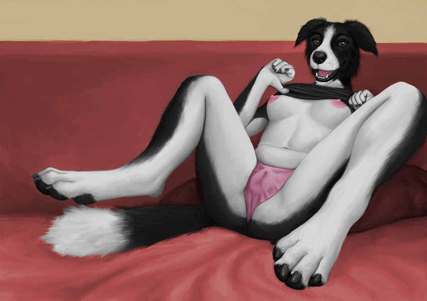 animal_genitalia animal_pussy anthro border_collie breasts camel_toe canine canine_pussy clothing collie dog female mammal morticus nipples panties pussy solo spread_legs spreading underwear