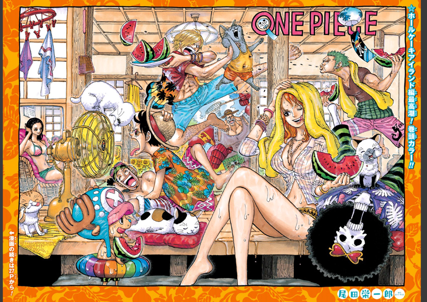 2girls 7boys afro arguing black_hair blonde_hair blue_hair breasts brook cat cover fighting franky greend_hair house inside large_breasts laying monkey_d_luffy multiple_boys multiple_girls nami_(one_piece) navel nico_robin oda_eiichirou official_art one_piece orange_hair reindeer relaxing roronoa_zoro sanji sitting skeleton stomach straw_hat thighs together tony_tony_chopper towel usopp watermelon