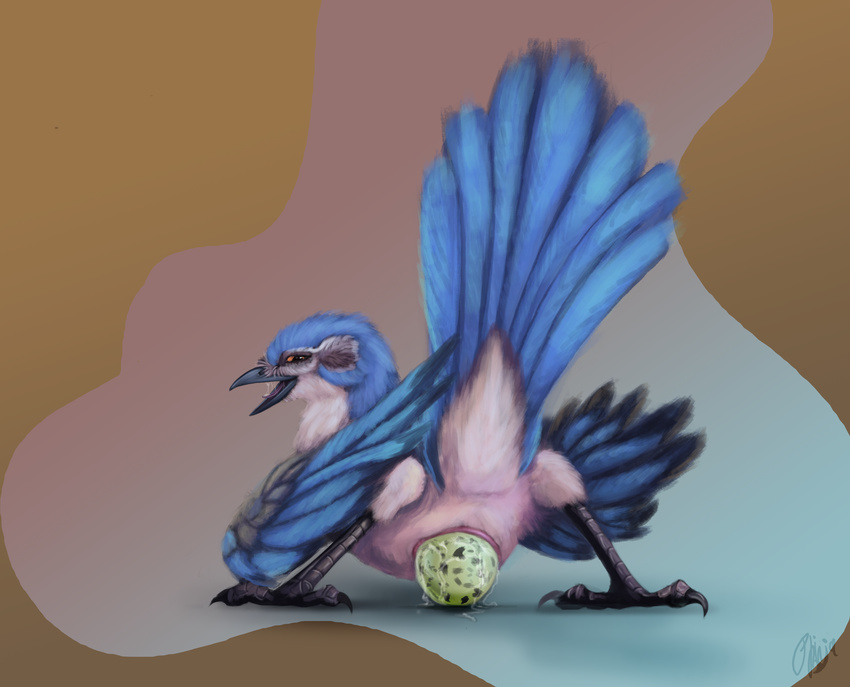 2017 absurd_res anal anal_penetration animal_genitalia avian beak bird blue_feathers butt claws cloaca digital_media_(artwork) drooling egg feathered_wings feathers feral hi_res male nude open_mouth orange_eyes orgasm oviposition penetration phinja saliva scrubjay simple_background smile solo toe_claws toes tongue tongue_out western_scrubjay white_feathers wings