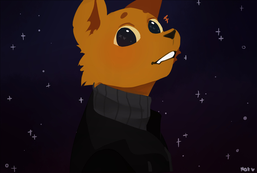 2017 anthro black_nose canine clothing collar cute eyebrows fangs fox fur ginger_fur gregg_(nitw) happy jacket leather leather_jacket mammal monochromewasteland_(artist) night night_in_the_woods orange_fur outside sky star starry_eyed surprise sweater teeth tongue tuft zipper