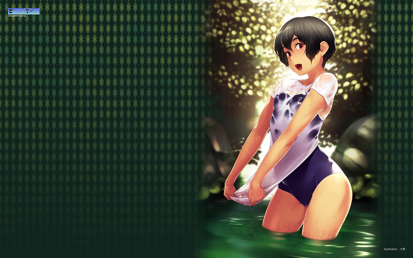cameltoe game-style oohara_kyuutarou school_swimsuit see_through swimsuits wallpaper wet wet_clothes
